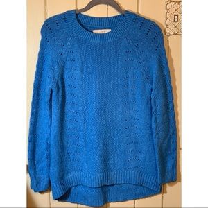 Blue Loft Sweater